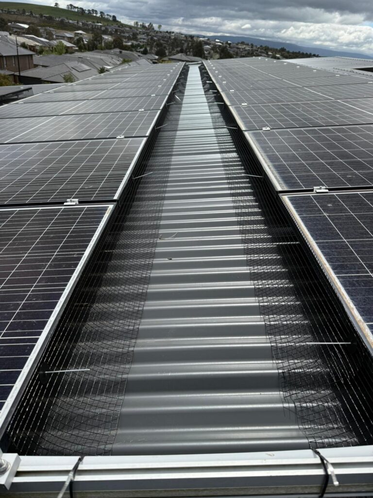 WhatsApp Image 2025-10-17 at 13.48