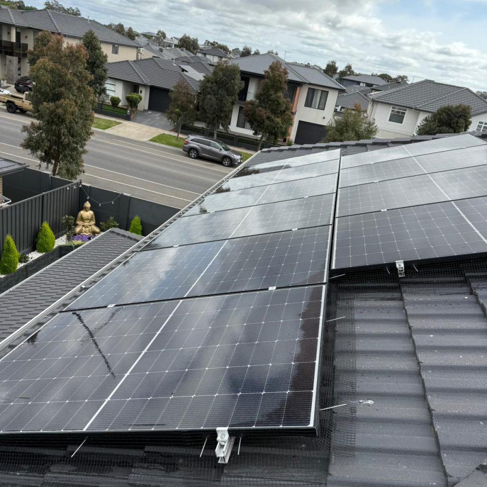 WhatsApp Image 2025-10-17 at 13.48.36_d304eb14