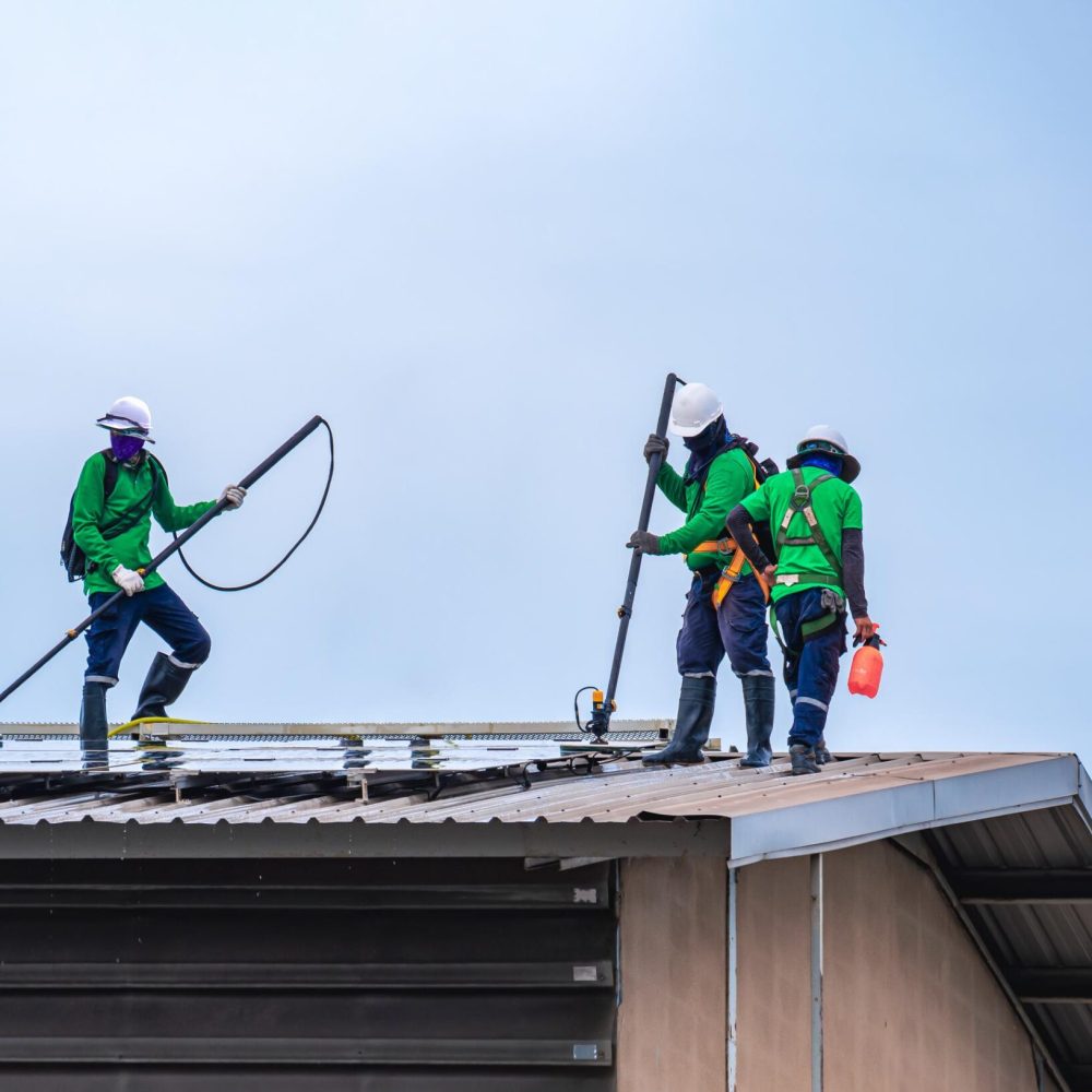 group-of-professional-cleaning-service-workers-cle-2025-03-11-09-12-47-utc