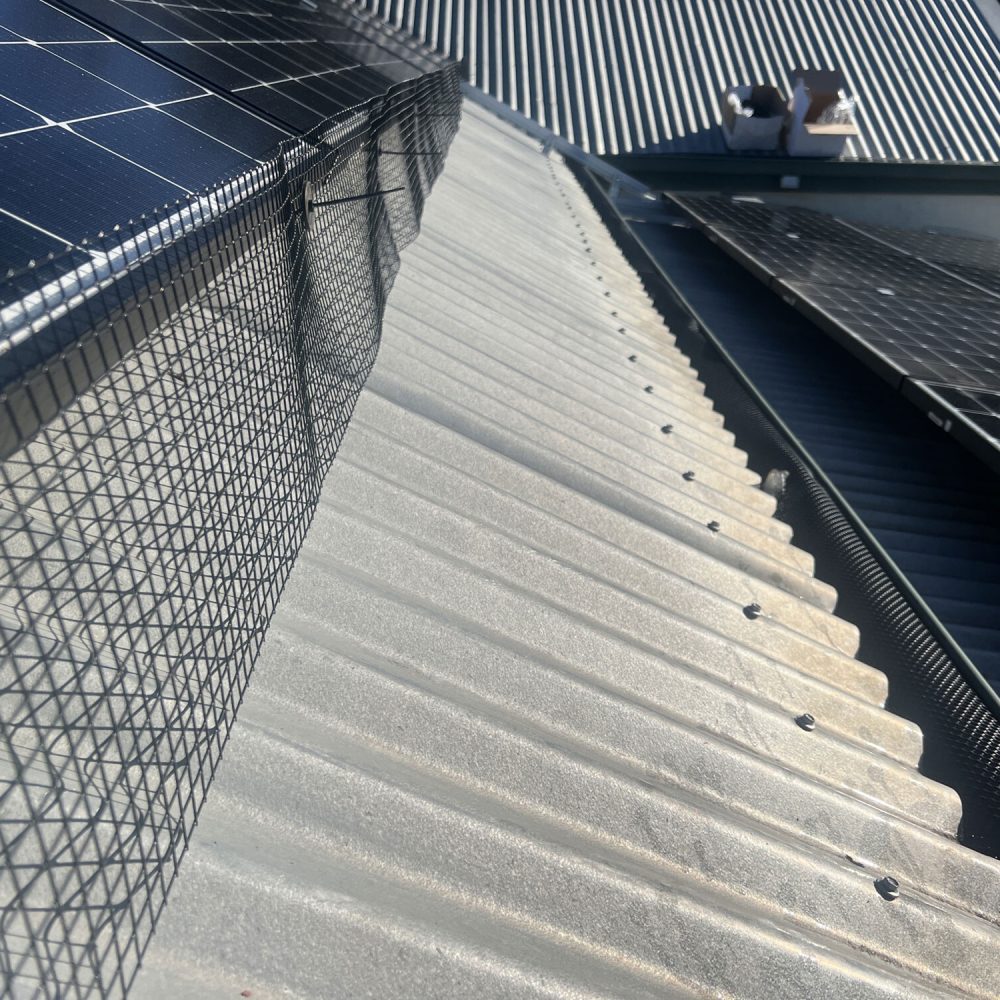 solar-bird-proofing